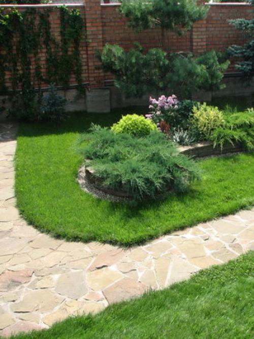 Какие типы хвойных деревьев необходимо укрывать на зиму в Сибири. Укрытие хвойных (видео)