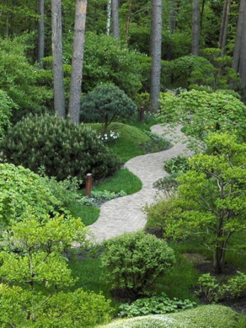 Какие типы хвойных деревьев необходимо укрывать на зиму в Сибири. Укрытие хвойных (видео)