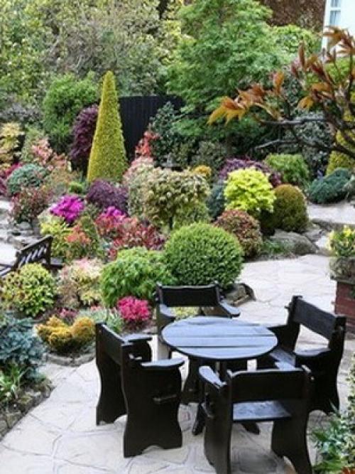 Какие типы хвойных деревьев необходимо укрывать на зиму в Сибири. Укрытие хвойных (видео)