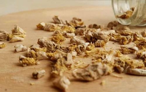 Как хранить топинамбур в квартире. Как сохранить топинамбур свежим на всю зиму в домашних условиях