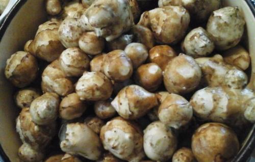 Заготовка топинамбура на зиму. Как приготовить на зиму и принимать сироп топинамбура