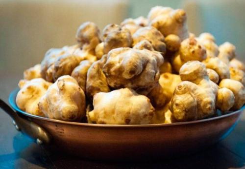 Как хранить топинамбур в погребе. Как хранить клубни топинамбура