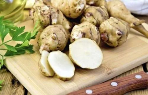 Где и как хранить топинамбур зимой в домашних условиях. Как сохранить топинамбур свежим на всю зиму в домашних условиях