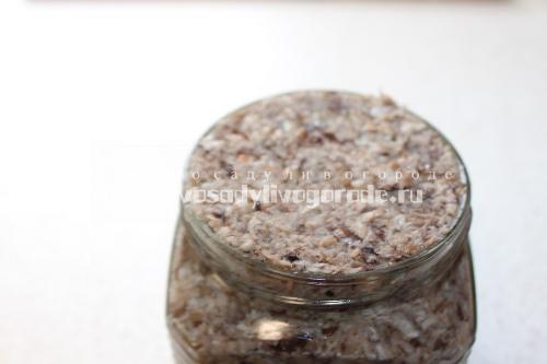 Грибная икра из опят на зиму без стерилизации. Икра грибная из опят на зиму без стерилизации