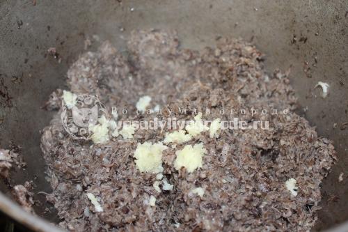 Грибная икра из опят на зиму без стерилизации. Икра грибная из опят на зиму без стерилизации