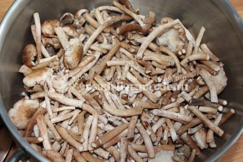 Грибная икра из опят на зиму без стерилизации. Икра грибная из опят на зиму без стерилизации