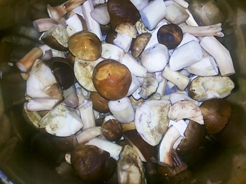 Грибная икра на зиму без стерилизации. Грибная икра перекрученная через мясорубку