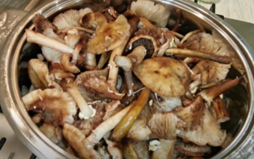 Лучшие рецепты приготовления грибной икры на зиму. Грибная икра без стерилизации на зиму: самые вкусные рецепты 12