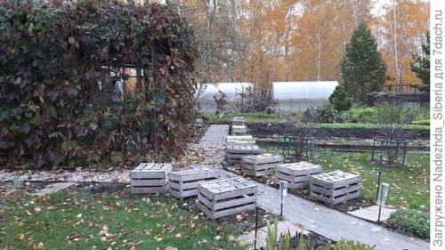 Как защитить хвойные растения от ветра и снежных заносов. Варианты защиты сада от снеговых разломов