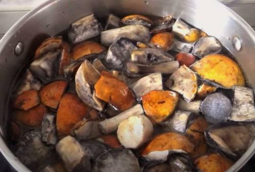 Грибная икра с рисом. Грибная икра из вареных грибов с помидорами и чесноком