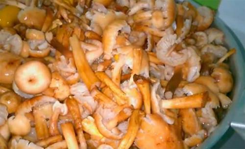 Опята с болгарским перцем на зиму. Опята на зиму с овощами — 4 рецепта
