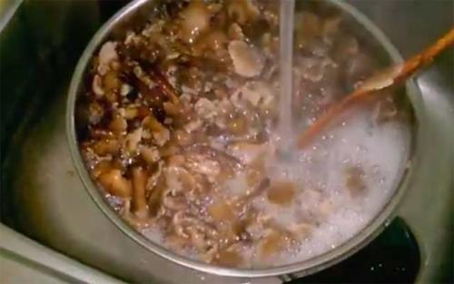 Опята с болгарским перцем на зиму. Опята на зиму с овощами — 4 рецепта