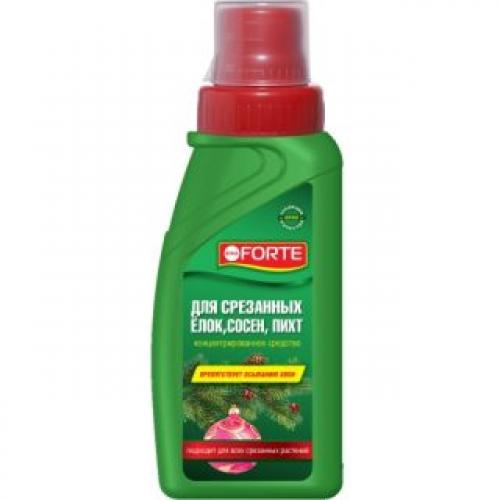 Какие специальные рецепты можно использовать для сохранения здоровья и красоты маленькой елочки. Что добавить в воду, чтобы ёлочка стояла дольше