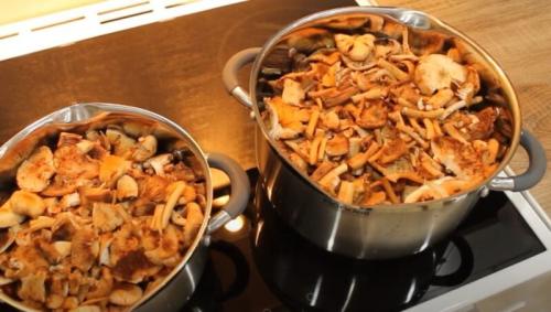 Грибная икра из опят без моркови. Грибная икра из опят с морковью без стерилизации «Пальчики оближешь»