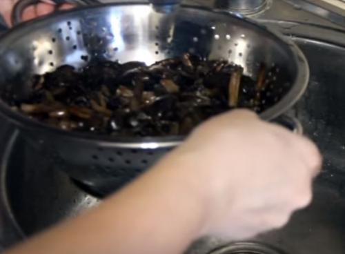 Грибная икра из опят на зиму. Грибная икра из опят с чесноком через мясорубку