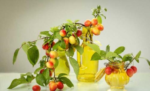 Алыча витамины. Польза алычи: обзор витаминов, минералов и полезных веществ в составе фрукта. 130 фото алычи и видео описание приготовления варенья и блюд с алычой