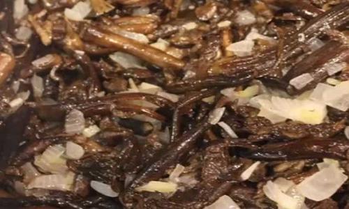 Грибная икра с луком и морковью. Самая вкусная грибная икра с чесноком и луком на зиму из варёных грибов