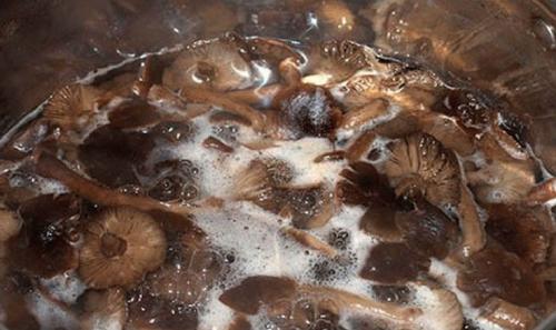 Грибная икра на зиму без стерилизации. Приготовление грибной икры из опят на зиму