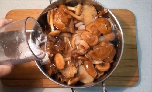 Грибная икра с луком и морковью. Самая вкусная грибная икра с чесноком и луком на зиму из варёных грибов 10