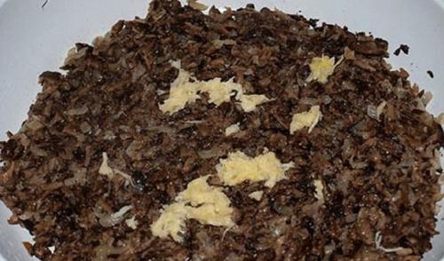 Грибная икра на зиму без стерилизации. Приготовление грибной икры из опят на зиму