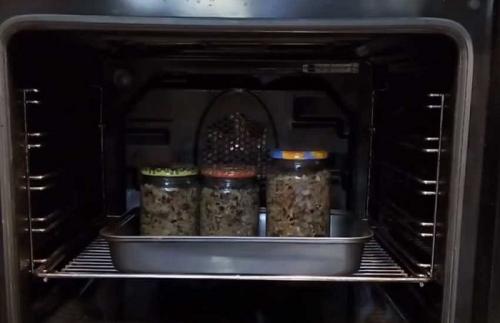 Грибная икра на зиму. Грибная икра из опят на зиму — самый вкусный рецепт с чесноком