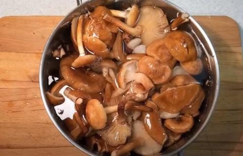 Грибная икра на зиму. Грибная икра из опят на зиму — самый вкусный рецепт с чесноком