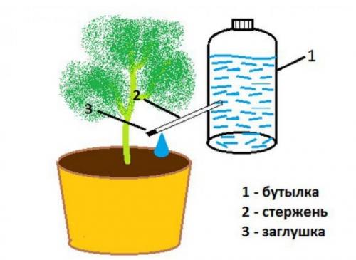 Как сделать капельный полив для огорода своими руками. Как сделать капельный полив для сада и огорода из пластиковых бутылок