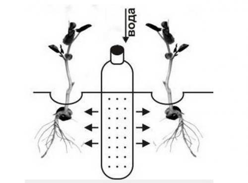 Как сделать капельный полив для огорода своими руками. Как сделать капельный полив для сада и огорода из пластиковых бутылок