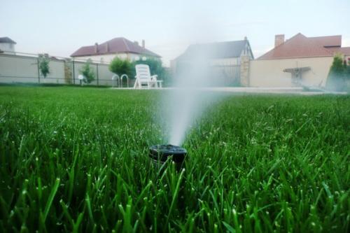 Простейший капельный полив своими руками. Капельный полив: капельницы, спринклеры, микроразбрызгиватели