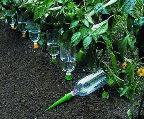 Как сделать капельный полив для огорода своими руками. Как сделать капельный полив для сада и огорода из пластиковых бутылок