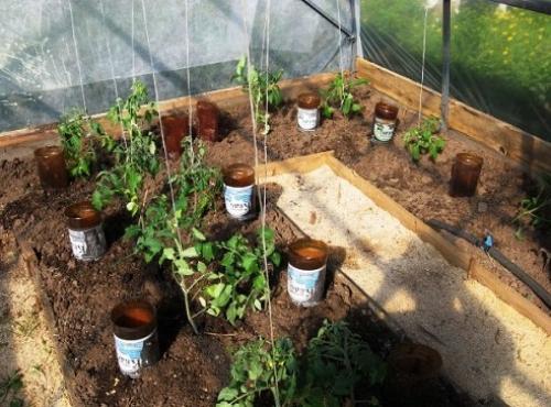 Как сделать капельный полив для огорода своими руками. Как сделать капельный полив для сада и огорода из пластиковых бутылок