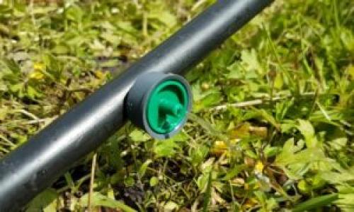 Виды капельного полива. Капельный полив. Особенности и виды капельного полива. Способ установки капельницы. Плюсы и минусы. Цена