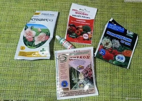 Самые лучшие устойчивые сорта роз. Самые зимостойкие сорта плетистых и вьющихся роз 09 Самые лучшие устойчивые сорта роз. Самые зимостойкие сорта плетистых и вьющихся роз 09