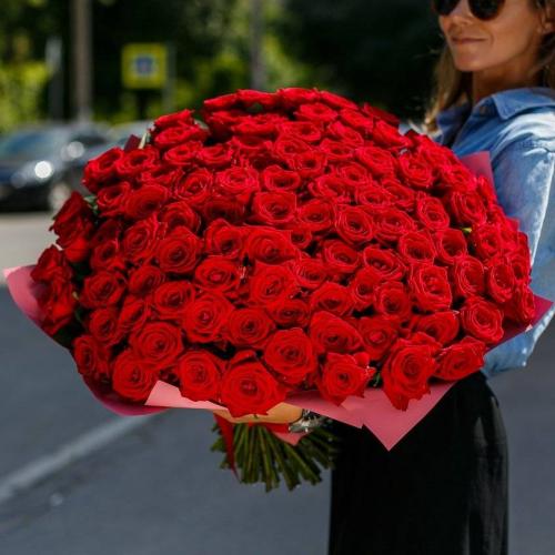 Лучшие зимостойкие сорта роз, цветущие все лето 16