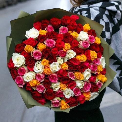 Лучшие зимостойкие сорта роз, цветущие все лето 15