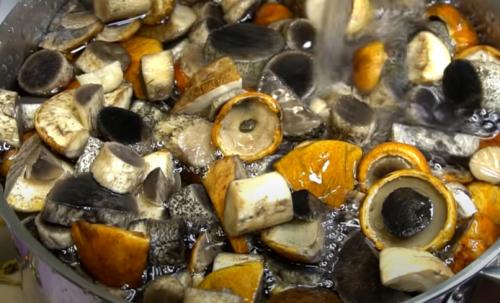 Грибная икра на зиму с морковью и луком. Грибная икра с овощами 01