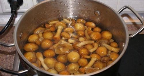 Икра из опят с луком и морковью и чесноком. Простой рецепт икры из опят с чесноком на зиму