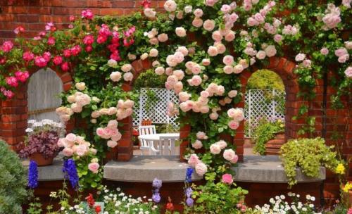 Виды и сорта роз. Происхождение 07