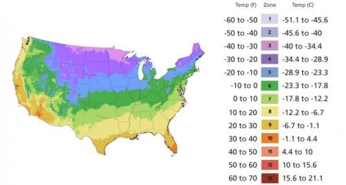 Все виды роз с указанием лучших сортов от А до Я. Описание сортов роз 02