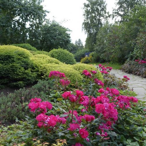 Что посадить на участке. Добавление статьи в новую подборку 08