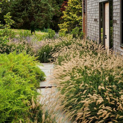 Что посадить на участке. Добавление статьи в новую подборку 04