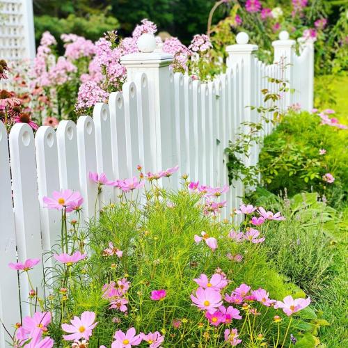 Что посадить на участке. Добавление статьи в новую подборку 01