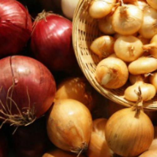 Температура хранения лука. Как хранить лук зимой