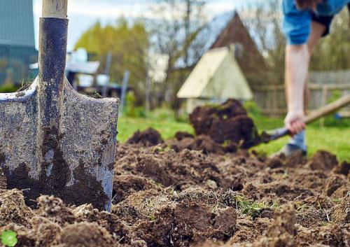 Какие удобрения вносить осенью под перекопку. Удобрения осенью под перекопку –, какие и как вносить