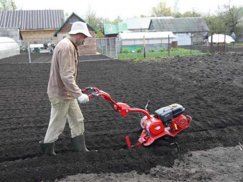 Какие удобрения вносить осенью под перекопку. Удобрения осенью под перекопку –, какие и как вносить