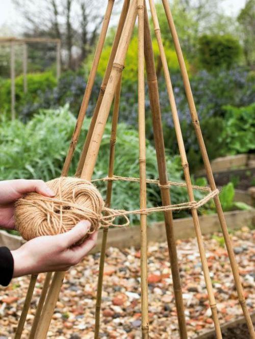 Куда девать обрезки малины. Куда деть срезанные ветки кроме костра? Идеи применения