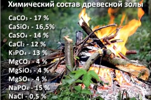 Зола под деревья. 12 Мощных Способов применения древесной золы в качестве удобрения для растений на огороде и в саду