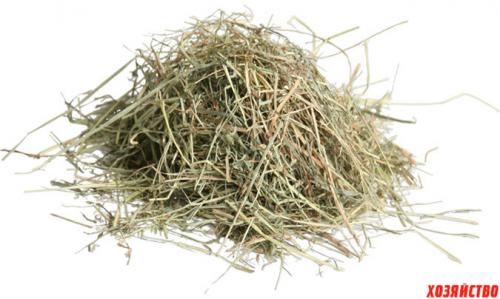 Сено, как удобрение. Прелое сено и подкормка, и защита