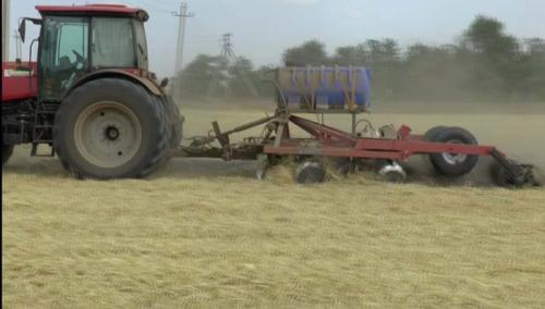 Как ускорить разложение соломы.  СТИМИКС  ®  НИВА А: БЫСТРОЕ РАЗЛОЖЕНИЕ СОЛОМЫ И ВЫТЕСНЕНИЕ ПАТОГЕНОВ.