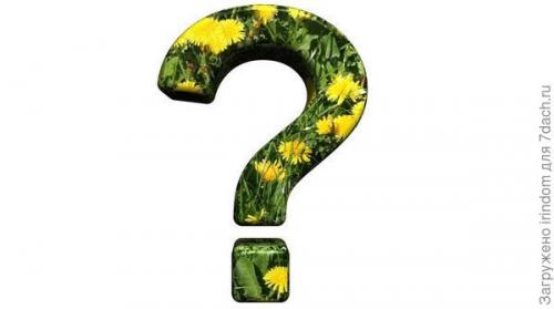 Мульчирование соломой форум. Правильно ли замульчирован огород соломой?